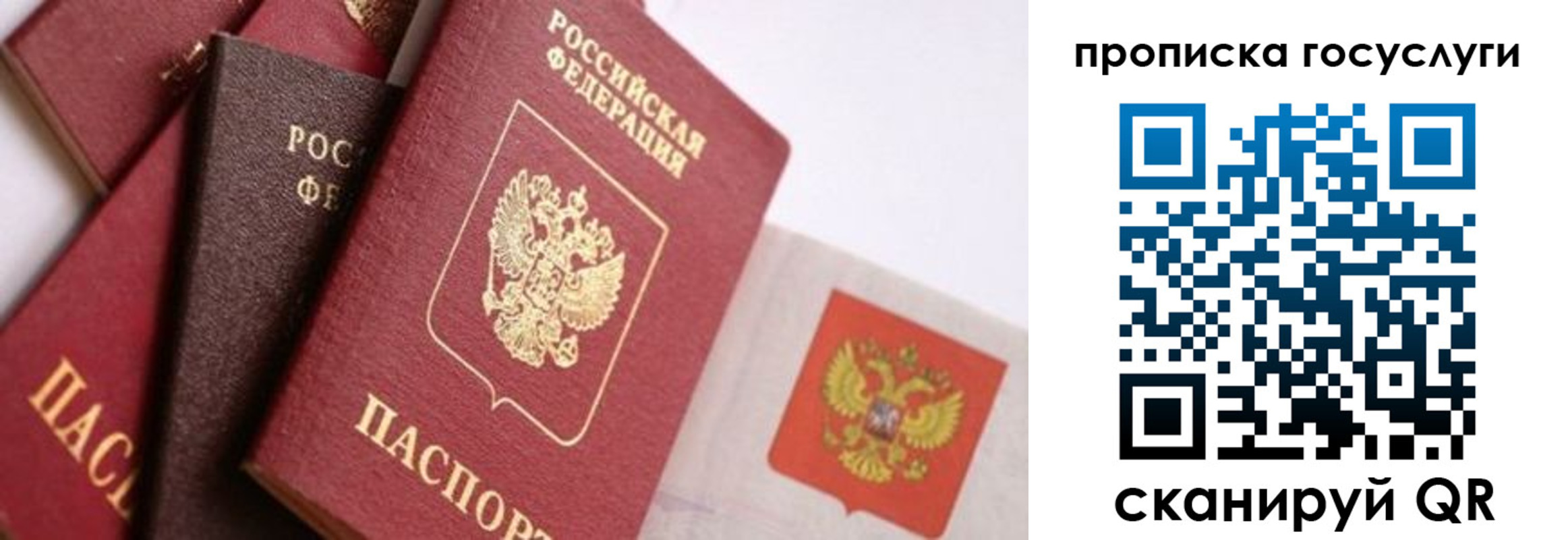 прописка законно в Кандалакше